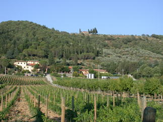 VisitsItaly Tuscany Welcome to the Villa Cilnia near Arezzo